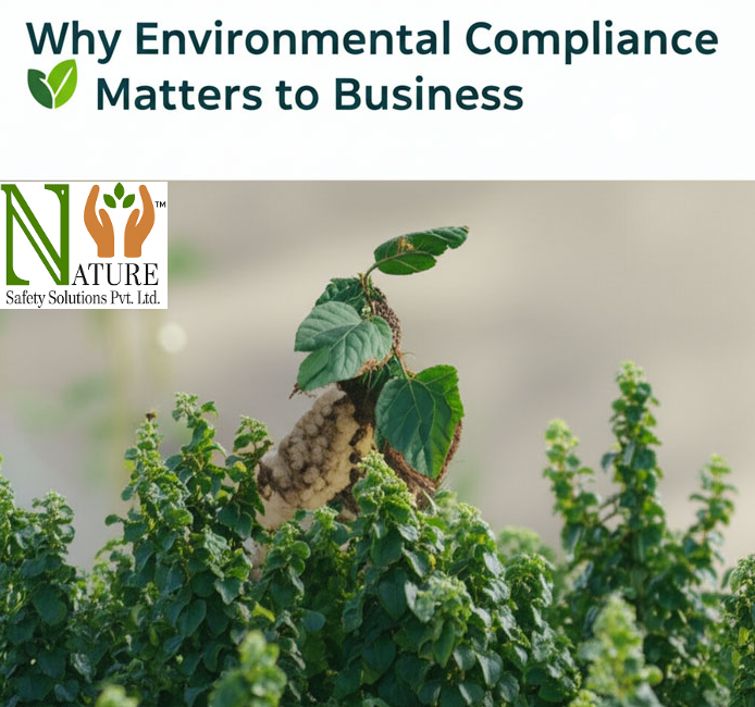 Why Environmental Compliance Matters to Business