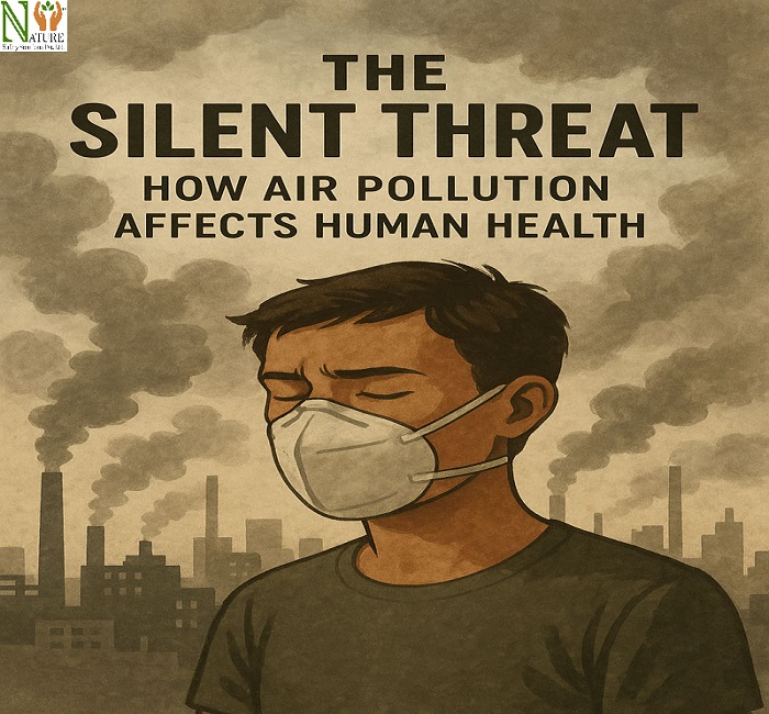 How-Air-Pollution-Affects-Human-Health