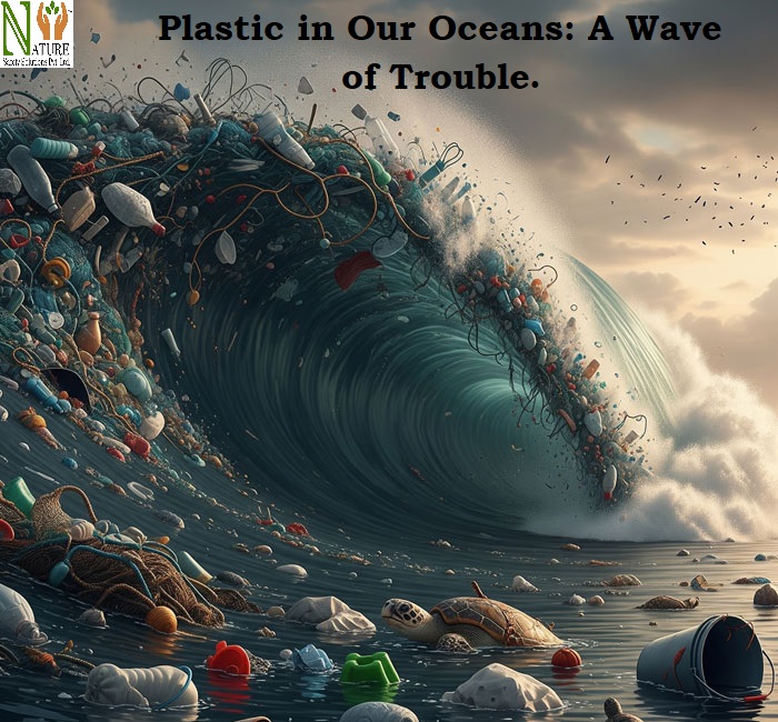 Plastic-in-Our-Oceans