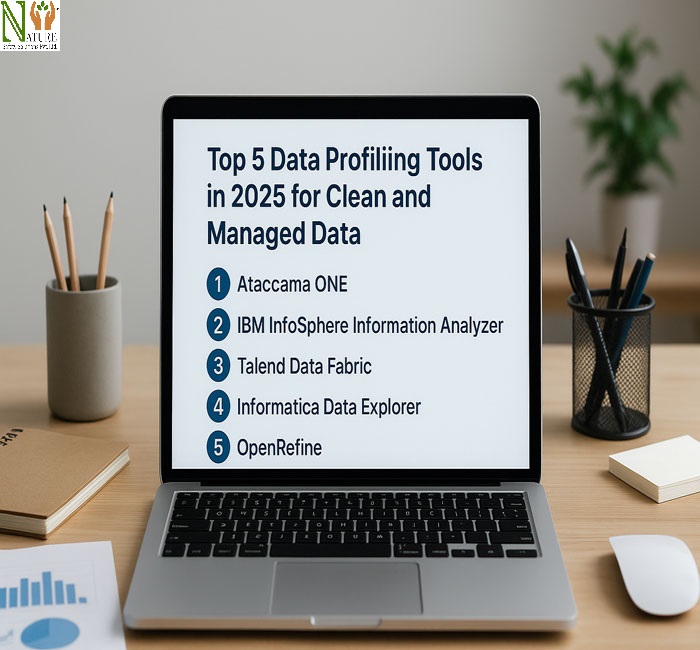 Top-5-Data-Profiling-Tools