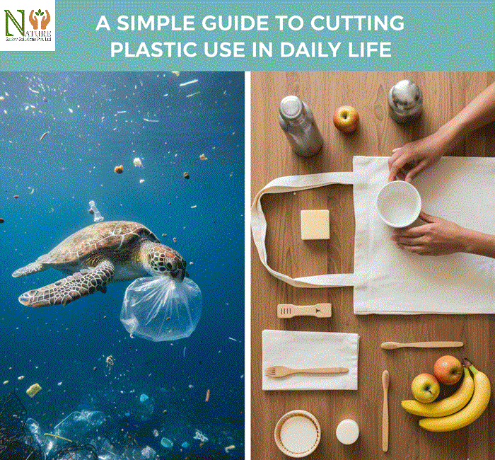 A-Simple-Guide-to-Cutting-Plastic-Use-in-Daily-Life