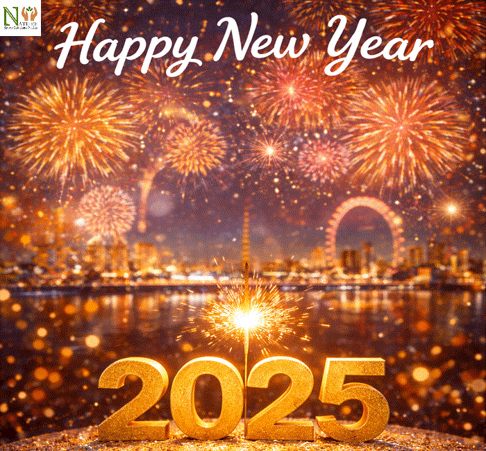 new-year-2025